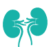 Best Kidney Treatment Hospital in India